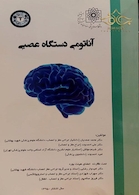 آناتومی دستگاه عصبی